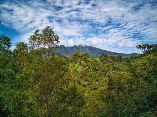 Bed & Breakfast Eco Horqueta