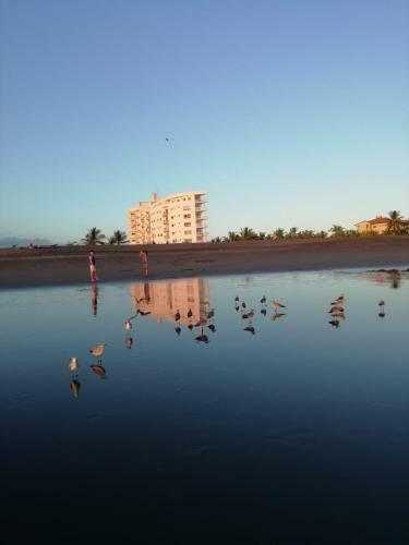 Apartamento Playa La Barqueta , Las Olas Tower Front