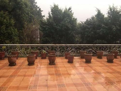 Hostal New Pyramid Guest House