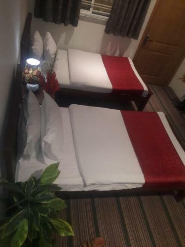 Bnb Hotel