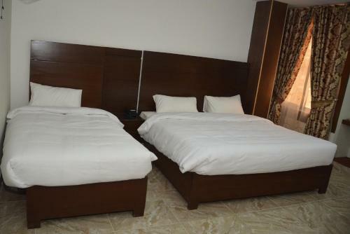 Hotel Redison Blue Area