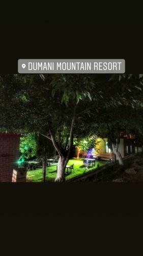 Hotel Dumani Mountain Resort