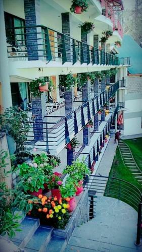 Hotel Summer Retreat