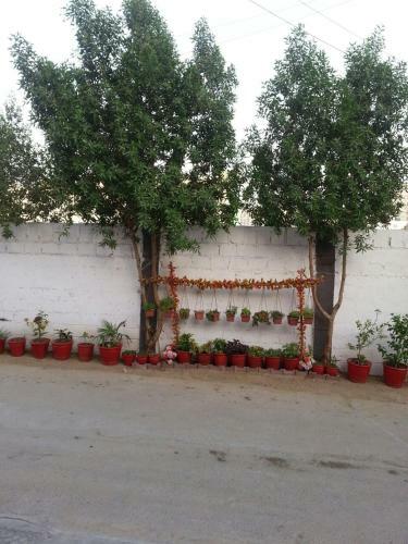 Villa Rehaish Inn Furnished Rental Accommodation