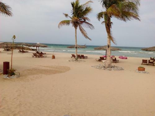 Apartment In Jebel Sifah