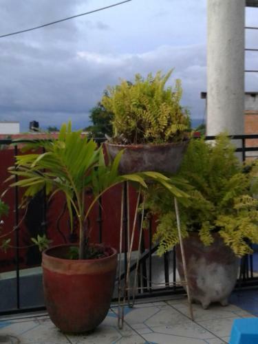Hotel Azul De La Selva
