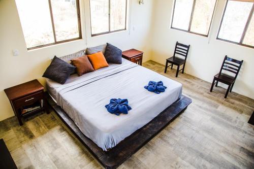 Apartamento Duovista