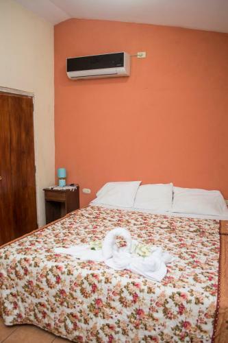 Hotel Apastepe