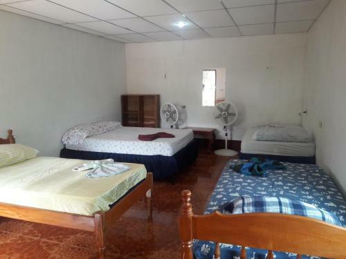 Posada Hospedaje Bullshark