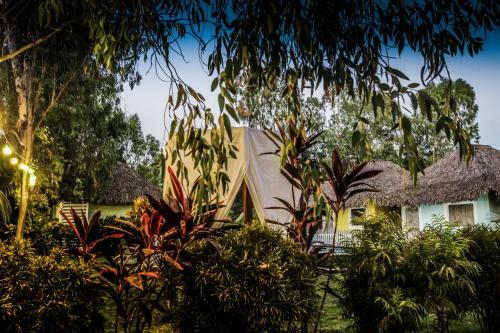 Lodge Las Dunas Surf Resort
