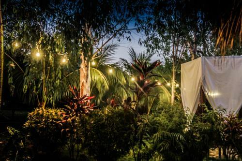 Lodge Las Dunas Surf Resort