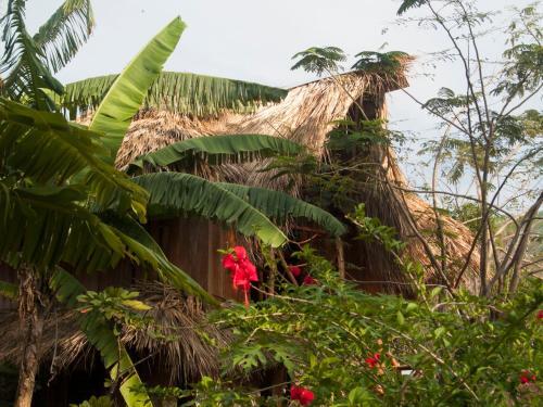 La Urraca Loca Hostel