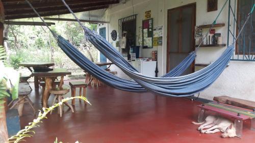La Urraca Loca Hostel