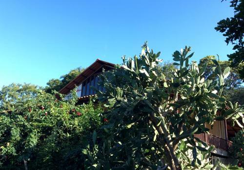 Bed & Breakfast Casa Del Bosque