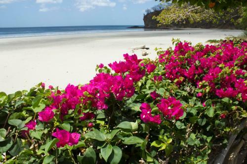 Bed & Breakfast La Veranera, Playa El Coco