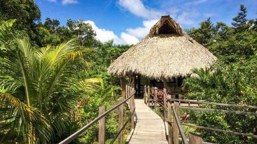 Hotel Mango's Lodge Private Bungalows