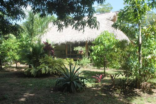 Hotel Mango's Lodge Private Bungalows