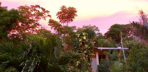 Hotel Mango's Lodge Private Bungalows