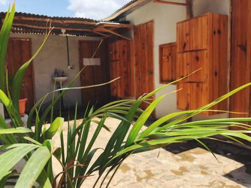Albergue Cafe Cerveza
