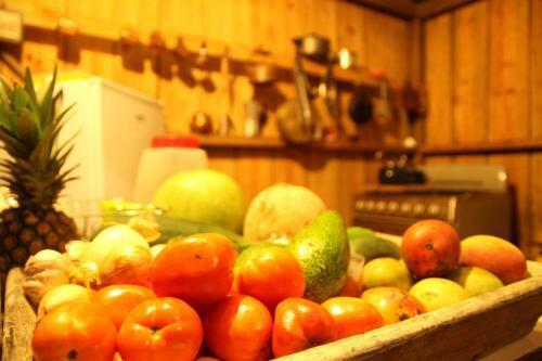 Hotel Boutique Marduk Gardens