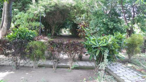 Hotel Playa Santa Martha