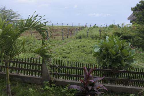 Lodge Wild Waves Surf-house