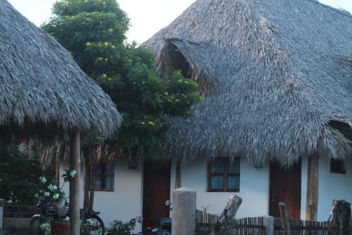 Lodge Wild Waves Surf-house