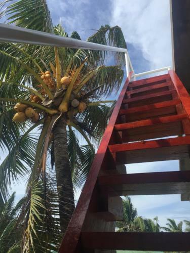 Mimundo Corn Island Hostel
