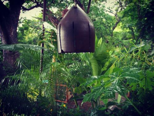 Bed & Breakfast Casa Marimba
