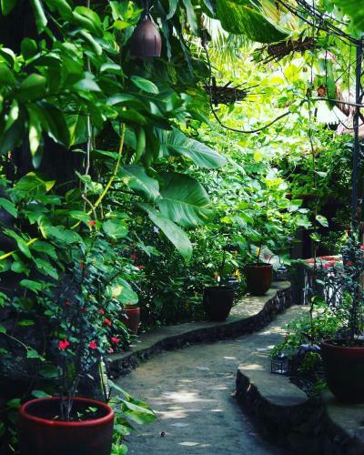Bed & Breakfast Casa Marimba