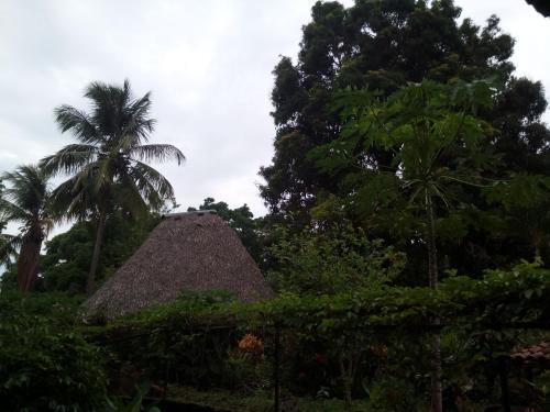 Eco-lodge El Porvenir.