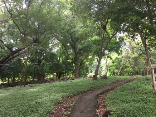 Finca Del Sol Eco Lodge