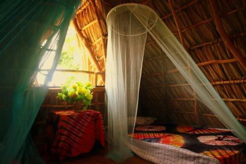Albergue Hostal Tecali