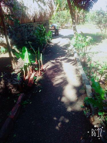 Albergue Hostal Tecali