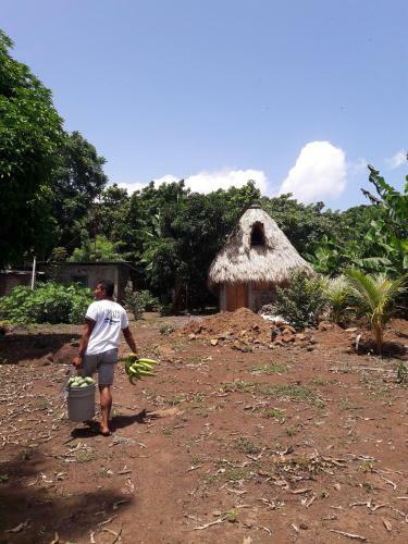 Albergue Hostal Tecali
