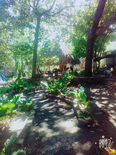 Albergue Hostal Tecali