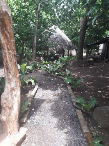 Albergue Hostal Tecali