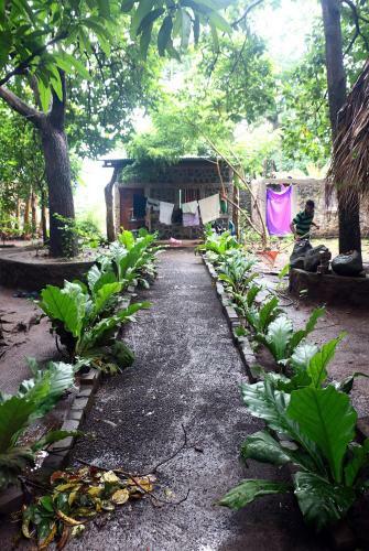Albergue Hostal Tecali