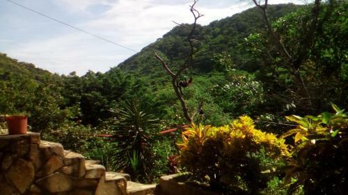Apartamento Lobo, Caba�as Lobolira