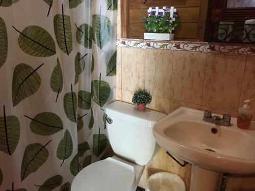 Hotel Posada Ecologica La Abuela