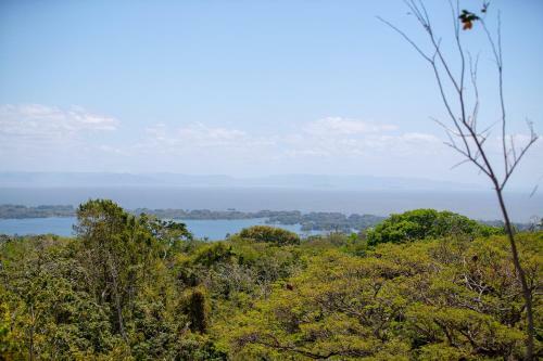Hotel Isleta El Roble