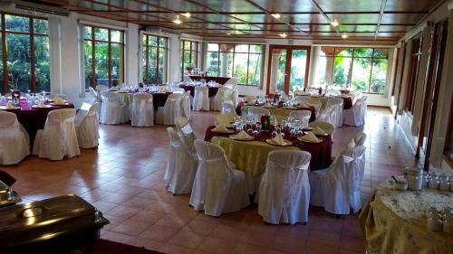 Hotel Lomas De San Thomas