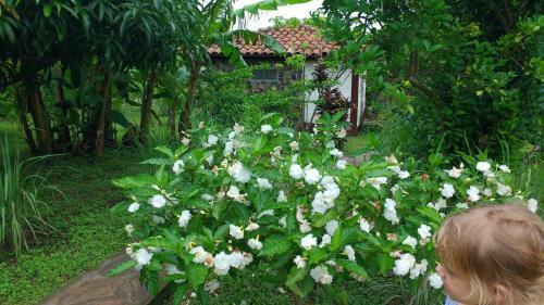 Albergue Finca Mystica