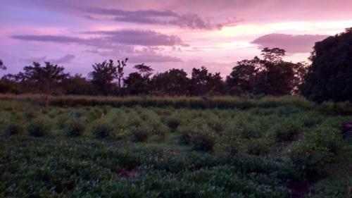 Albergue Finca Mystica