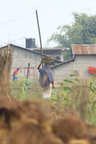 Barauli Community Homestay