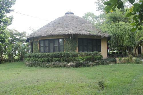 Bed & Breakfast Rhino Lodge Bardia