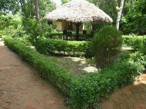Lodge Nature Safari Resort