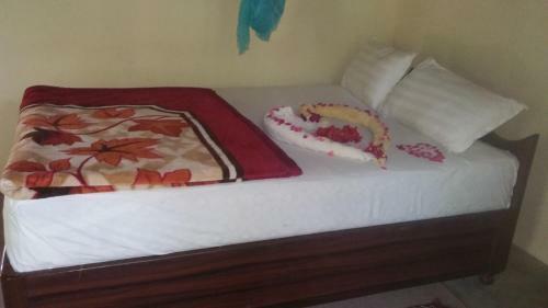 Lodge Nature Safari Resort