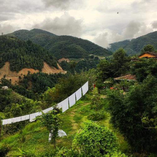 Hotel Kot Danda Agro Resort
