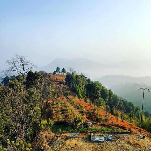 Hotel Kot Danda Agro Resort